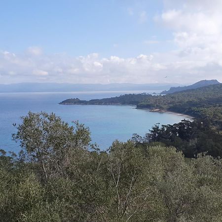 Porquerolles - Nuit Insolite A Bord Du Defi Fou Exteriör bild