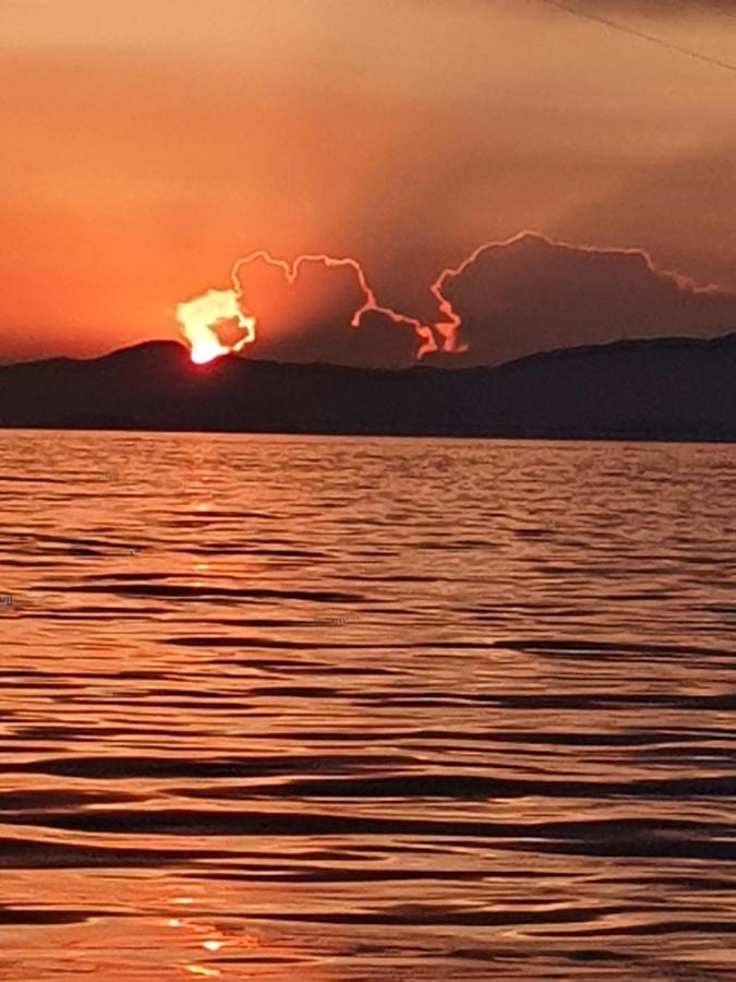 Porquerolles - Nuit Insolite A Bord Du Defi Fou Exteriör bild
