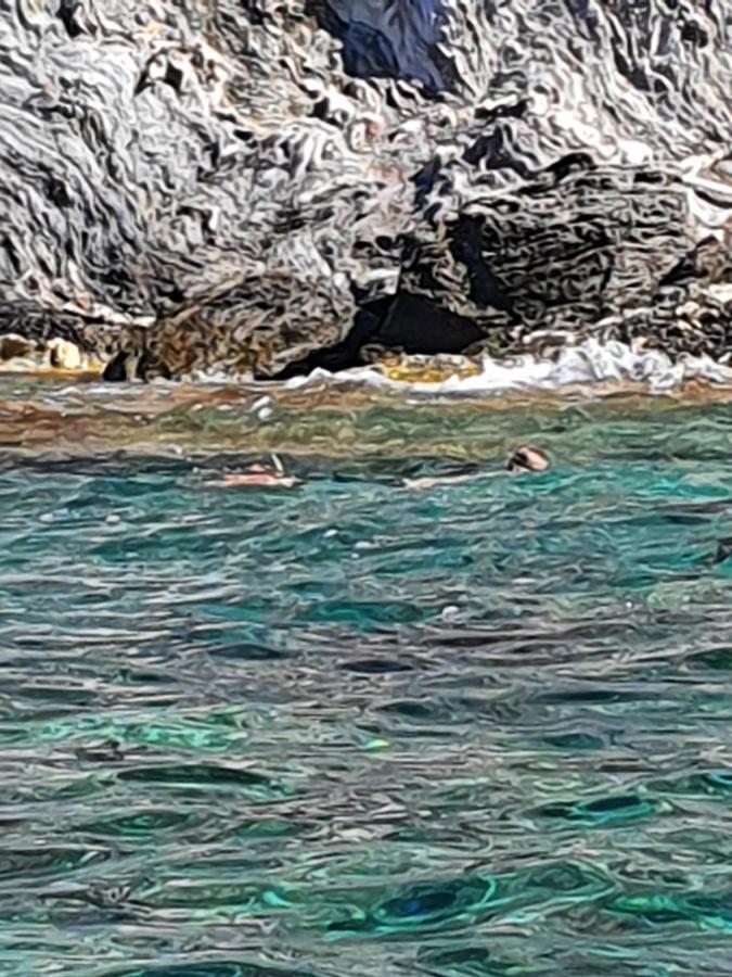 Porquerolles - Nuit Insolite A Bord Du Defi Fou Exteriör bild
